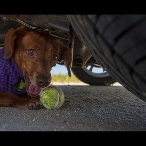 Meet your Posher, Olivia